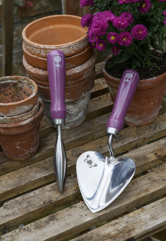 Quality Products - Gift Planting Trowel & Dibber Asteraceae