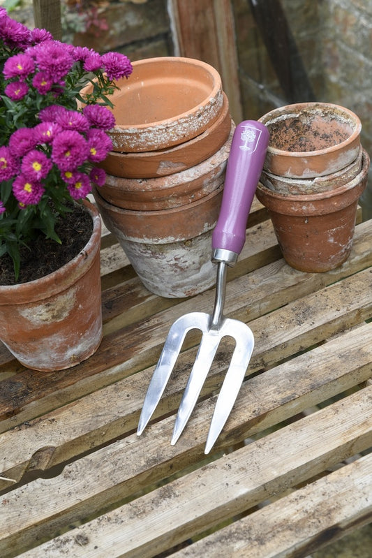 Quality Products - Gift Trowel & Fork Asteraceae