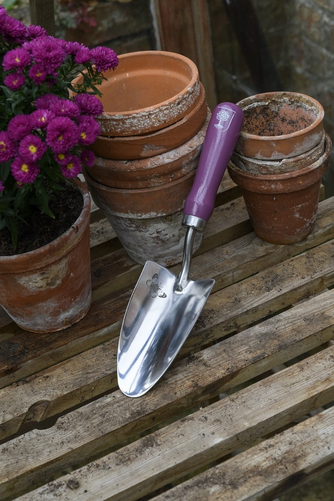 Quality Products - Gift Trowel & Fork Asteraceae