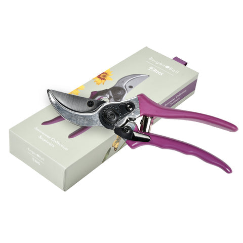 Quality Products - Gift Secateurs Asteraceae